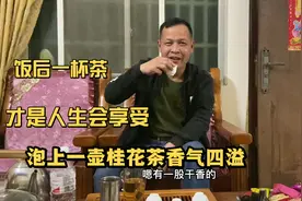 昨天摘的桂花经过烘干终于喝上，茶味飘香，泡的时候龙哥犯了茶规视频封面