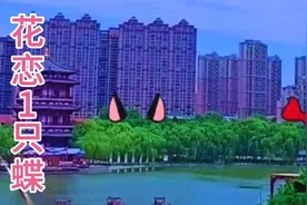 非常好听三首歌曲，旋律优美，节奏欢快，听完心情舒畅，分享你们视频封面