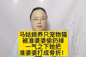 马姑娘的宠物猫被准婆婆偷扔掉，一气之下她把准婆婆打成骨折！视频封面