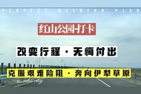 #打卡·改变·奔向（伊犁哈萨克自治州大草原）视频封面