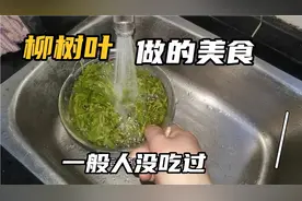 你没吃过的美食！柳树叶这样做太好吃了视频封面