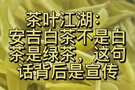 安吉白茶不是白茶是绿茶这句话背后感觉到的是金融茶的宣传能力视频封面