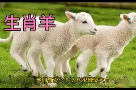 生肖羊的性格感情原来如此，那你是什么性格呢？纯属娱乐视频封面