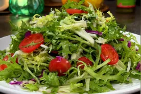 凉拌苦菊这样做简单又好吃，酸酸甜甜微微苦，清脆爽口又解腻视频封面