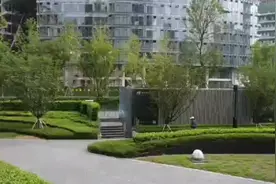 《如果有一天我死了》这个有情的无情的人世间请你记得我来过！视频封面