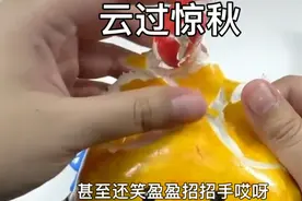 在临死前，我用尽浑身的力气强吻了宿敌一口视频封面