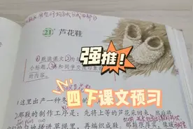 四下课文预习【21.芦花鞋(列小标题)】视频封面