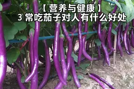 【营养与健康】3 常吃茄子对人有什么好处？视频封面