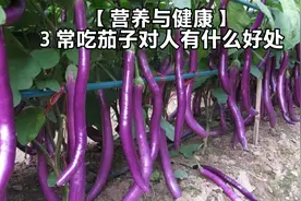 【营养与健康】3 常吃茄子对人有什么好处？视频封面