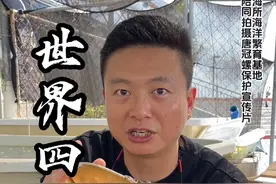 四大名螺之一的唐冠螺，国家二级保护动物。视频封面