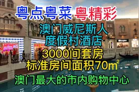 威尼斯人，3000间套房，标准房间面积70㎡，澳门最大市内购物中心视频封面
