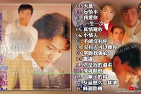 刘德华 －登峰造极精华辑｜天意 忘情水 15首高音质无损视频封面