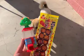 小狗狗敢吃葫芦小辣片吗