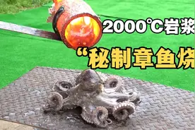 用2000℃的岩浆来烤章鱼，我没看错吧，直呼过瘾视频封面