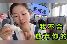 小猫出生就被妈妈抛弃，不给奶喝太气人了，小媳妇心疼的亲自喂奶视频封面