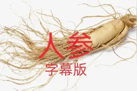字幕版倪海厦神农本草经——人参2视频封面