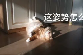 妞妞早上各种妖娆睡姿和妈妈互动，最后做个全身SPA舒服极了视频封面