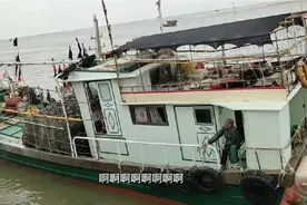 湛江雷州沿海渔船出海捕鱼，豪华亮相，现在渔民不再怕日晒雨淋了视频封面