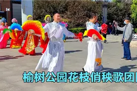 东北老大秧歌精彩演出，大学生带队太精彩了！视频封面
