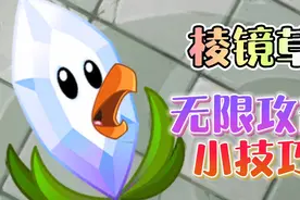 植物大战僵尸2：棱镜草的无限攻击小技巧视频封面
