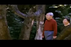 影像资料视频封面