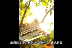 肖战主演的骄阳伴我开机视频封面