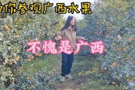 单身妹子流浪广西南宁，水果数量令人惊叹，这里山美水美人更美视频封面