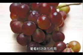 葡萄籽功效与作用