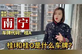 广西14个车牌代码：南宁、钦州、北海、防城港视频封面