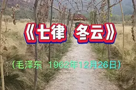 红歌：毛主席诗词《七律.冬云》诗人通过梅花清高孤傲的形象表达视频封面