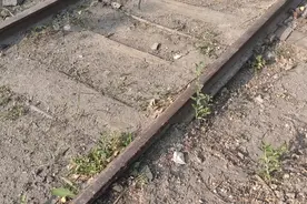 爱怀旧人已老，小时候放轨上钉子让火车压成小刀，你们玩过吗？视频封面