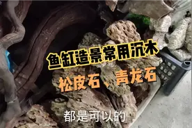 鱼缸造景常用的沉木有哪些？造景石头应该怎么选?松皮石什么价格视频封面