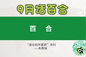 9月话百合—什么人不宜吃百合？视频封面