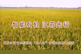 智能农机 江苏先行 首届江苏省水稻机收无人化作业比武竞赛掠影视频封面