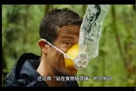 还记得“站在食物链顶端”的贝爷吗？当年爆红，为何突然不见了？