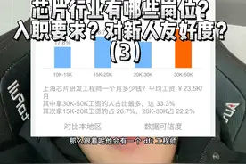 高收入的芯片行业有哪些岗位？入职要求？对新人友好度？（3）视频封面