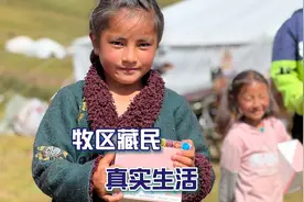 牧区真实体验，大家说说养牦牛一年能赚多少钱？视频封面