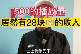 几百的播放量有收益！#小程序推广计划 #羊了个羊 #今日分享视频封面