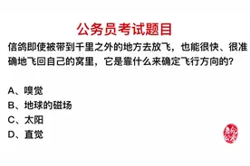 公务员常识，信鸽能够找到自己家，靠的是什么？视频封面