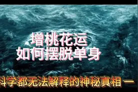鲁班经。招桃花运@DOU+小助手视频封面