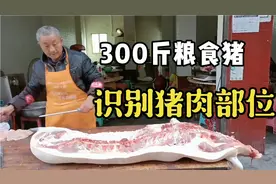 史上最详细的猪肉分割教程，300斤粮食猪肉，农村屠户分分钟搞定视频封面