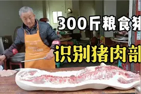 史上最详细的猪肉分割教程，300斤粮食猪肉，农村屠户分分钟搞定