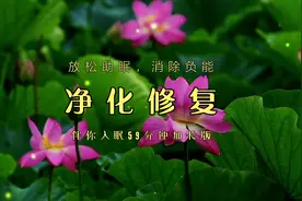 现代音疗丨放松脑部神经，净化修复，因反馈好特制作59分钟加长版视频封面