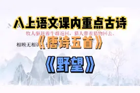 八上语文课内重点古诗《野望》精讲！助力八年级！冲冲冲！