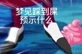 梦见踩到屎是什么意思视频封面