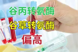 谷丙转氨酶和谷草转氨酶偏高是怎么回事？看看病理性和生理性偏高