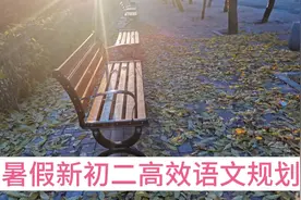 暑假新初二高效语文规划，准备六个资料走好七个板块轻松拿高分。视频封面