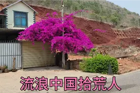 两人一狗流浪中国，拾荒为生一切都靠捡，今天拉个屎捡不少大货视频封面