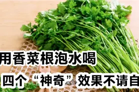 香菜根药用价值很高，用香菜根泡水喝，四个“神奇”效果不请自来视频封面