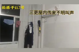 睡到三更，屋内突然出现怪异的叫声，起床看个究竟，终于真相大白视频封面